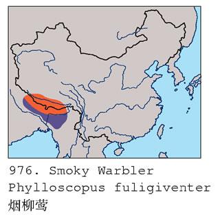 ����ݺ�������ֲ�ͼ