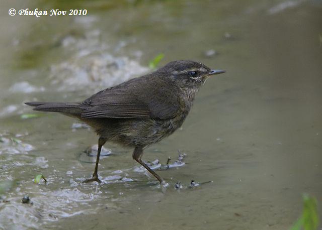 ����ݺ������ӡ�ȣ�