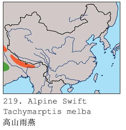 ��ɽ����