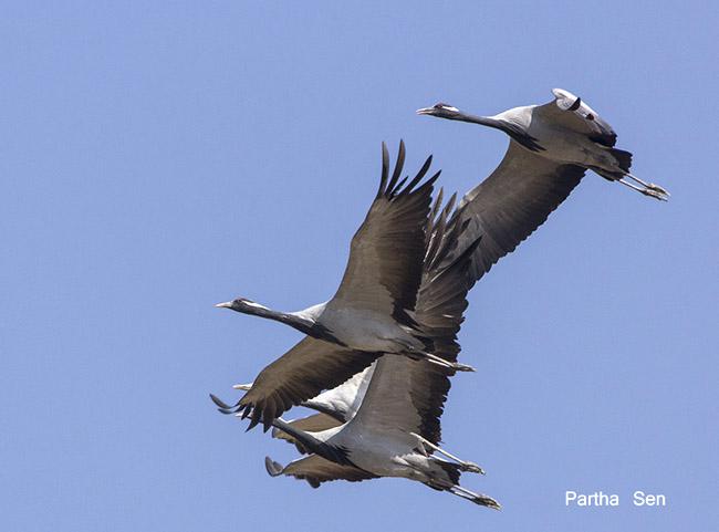 ����ף�����ͼ