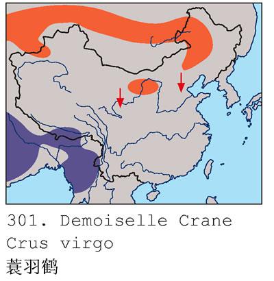 ����ף������ֲ�ͼ