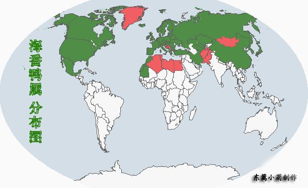 ����Ѽ��������ֲ�ͼ