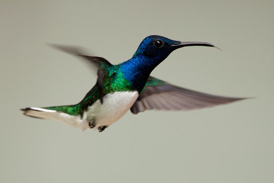 ����Ŀ��ͼƬ