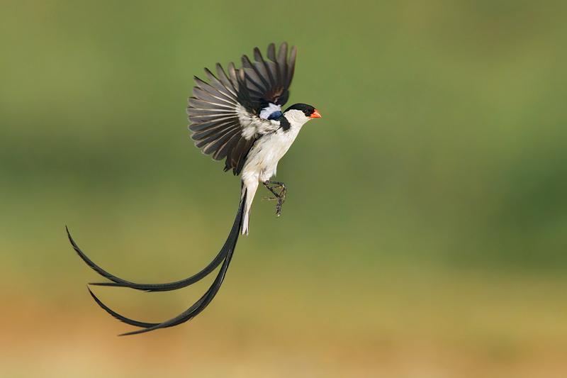 ��βά��ȸ��ͼƬ