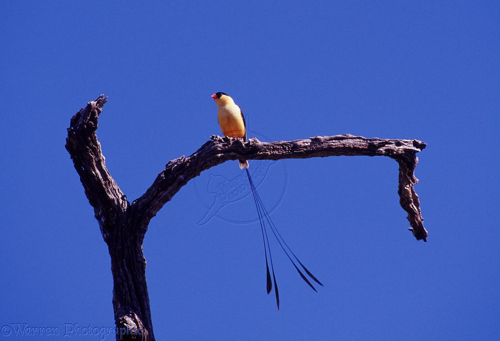 ��βά��ȸ������