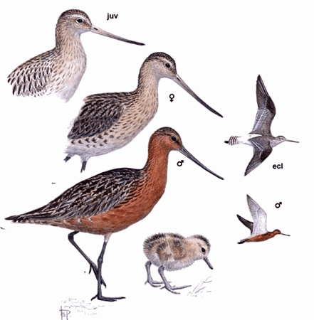 ��β���֣���̬����ͼ