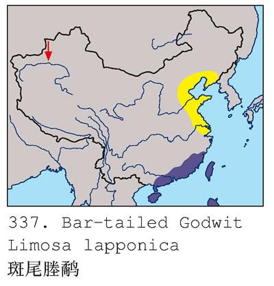 ��β���֣������ֲ�ͼ