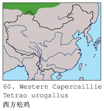 �ɼ������ֲ�ͼ