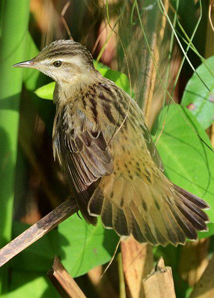 С��ݺ�������¼��£�2012.02