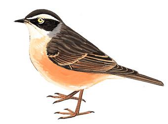 �����ң���̬����ͼ