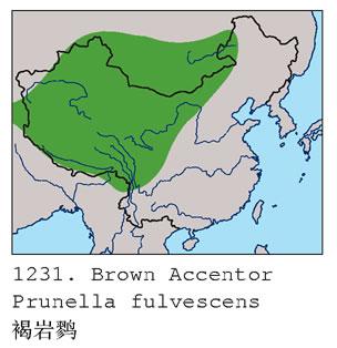 �����ң������ֲ�ͼ