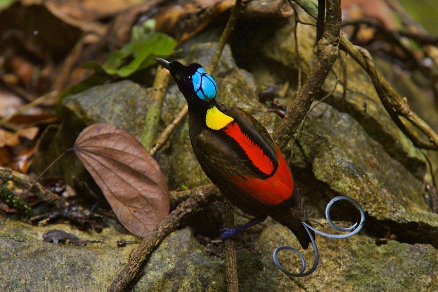 ���ϼ�����