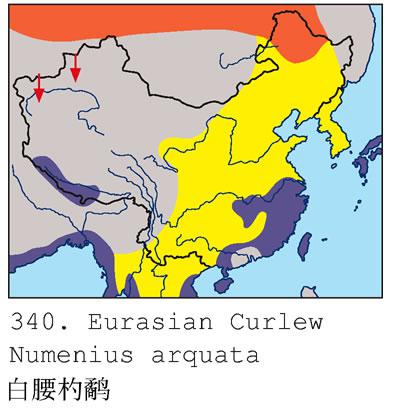 ������֣������ֲ�ͼ