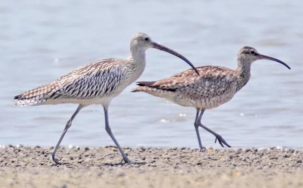 �������