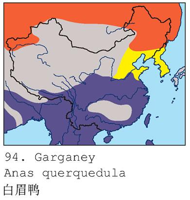 ��üѼ�������ֲ�ͼ