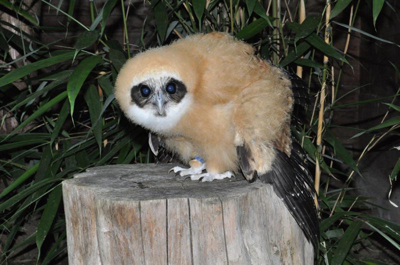 �߸��۾��^������