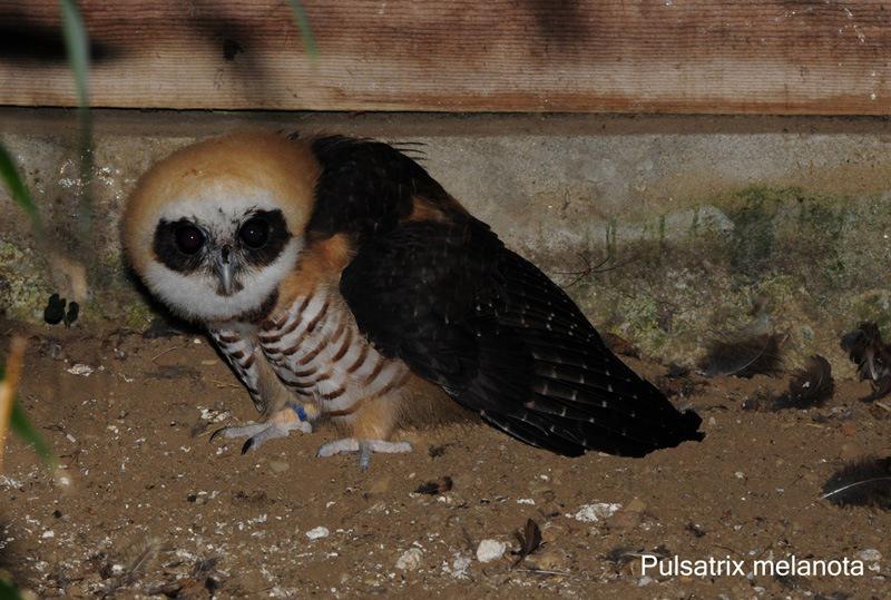 �߸��۾��^������