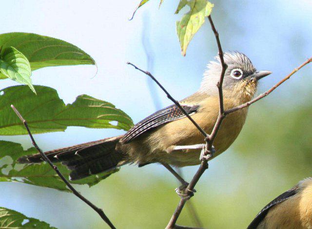 �ڹڰ߳��̵�ͼƬ