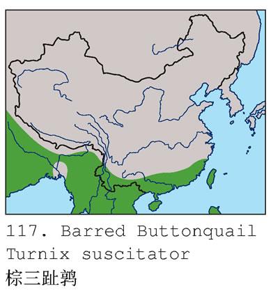 ����ֺ�ȣ������ֲ�ͼ