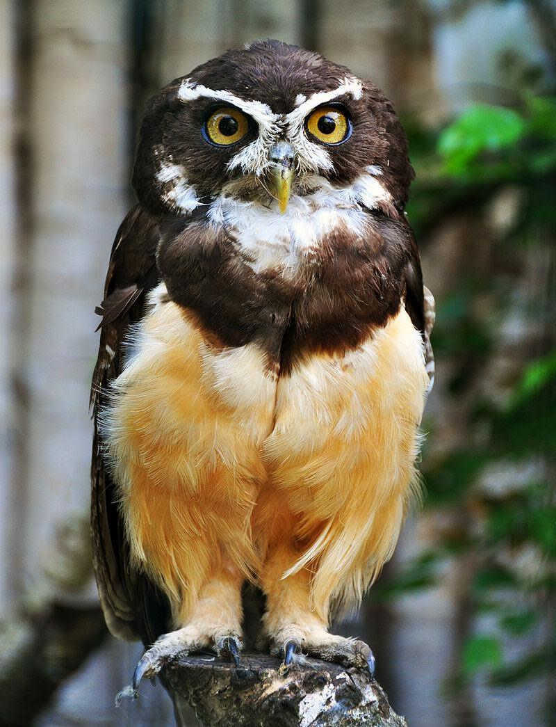 �۾��^��ͼƬ