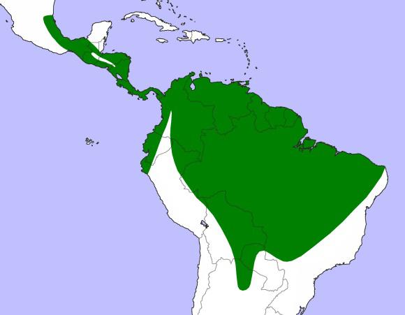 �۾��^�������ֲ�ͼ