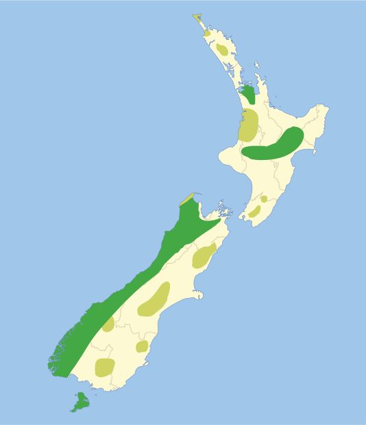 �^���ģ������ֲ�ͼ