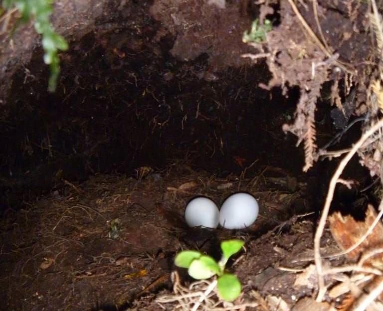 �^���ģ�����