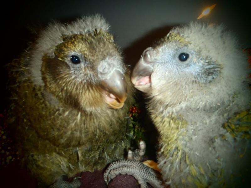 �^�����ģ�����