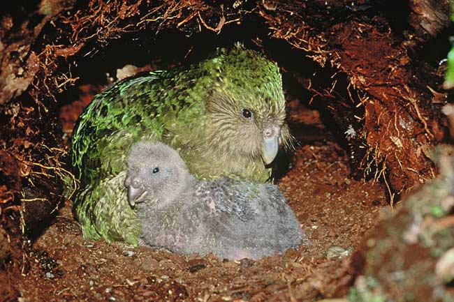 �^���ģ�����