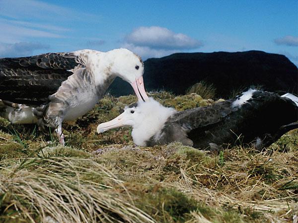 ���������̵�ͼƬ