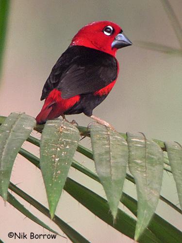 �ڸ�����ȸ