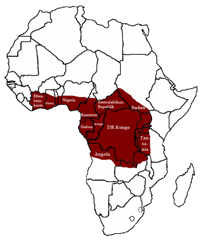 �ڸ�����ȸ�������ֲ�ͼ