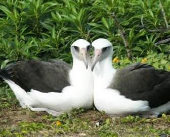 �ڱ�������