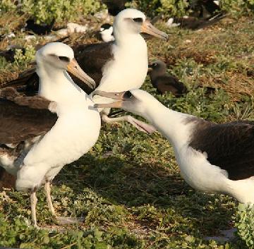 �ڱ�������