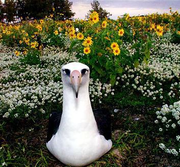 �ڱ�������