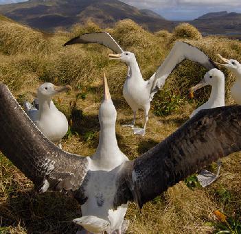 �ڱ�������