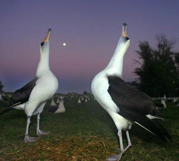 �ڱ�������