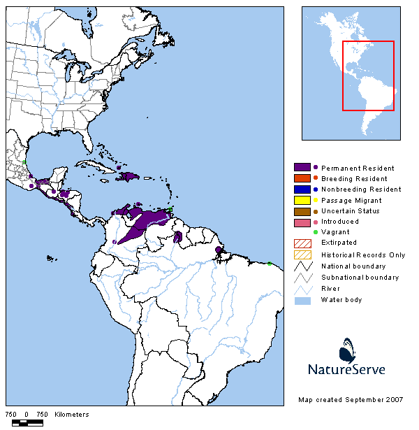 ˫��ʯ�a�������ֲ�ͼ