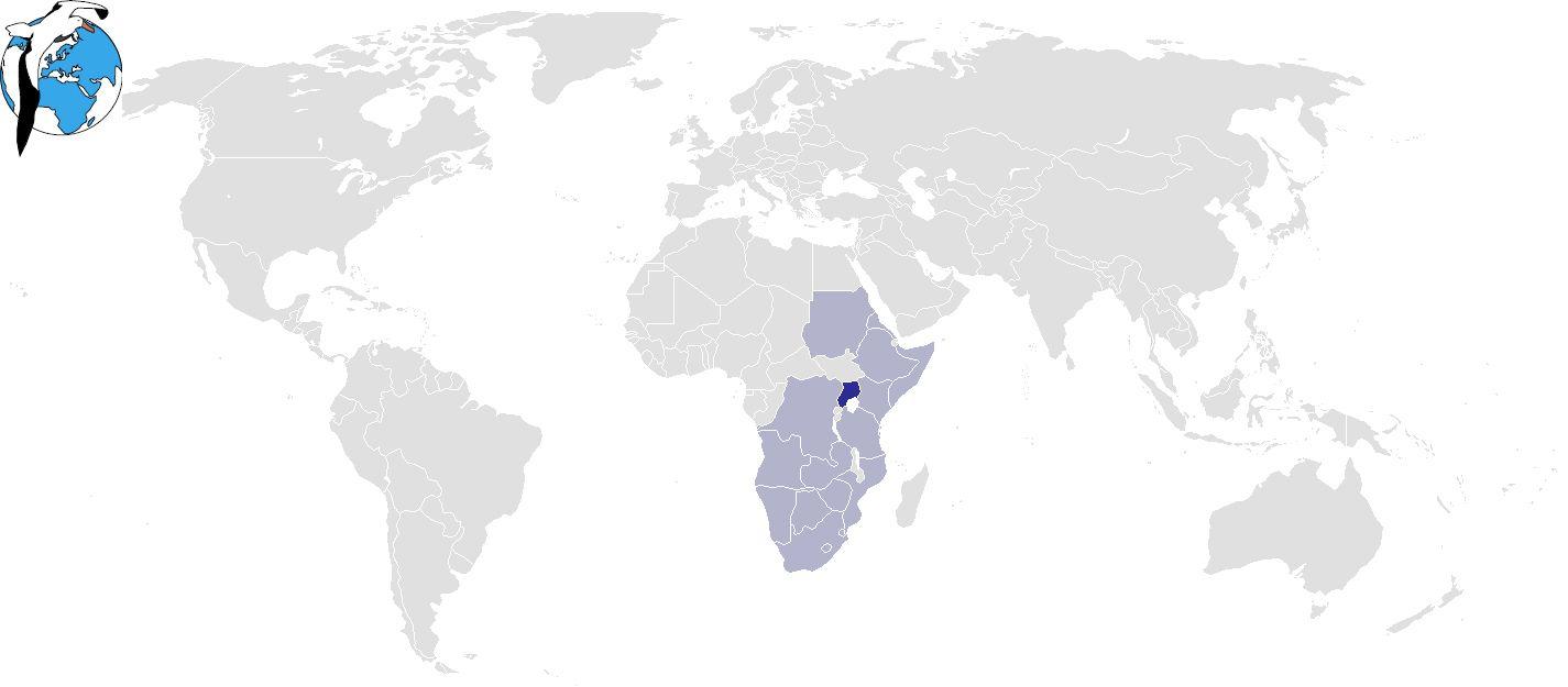 ����ѻ�������ֲ�ͼ