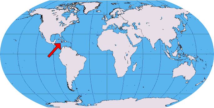 �������ѻ