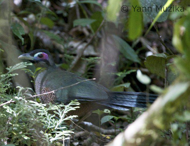 ���Ŵ����ؾ��ͼƬ