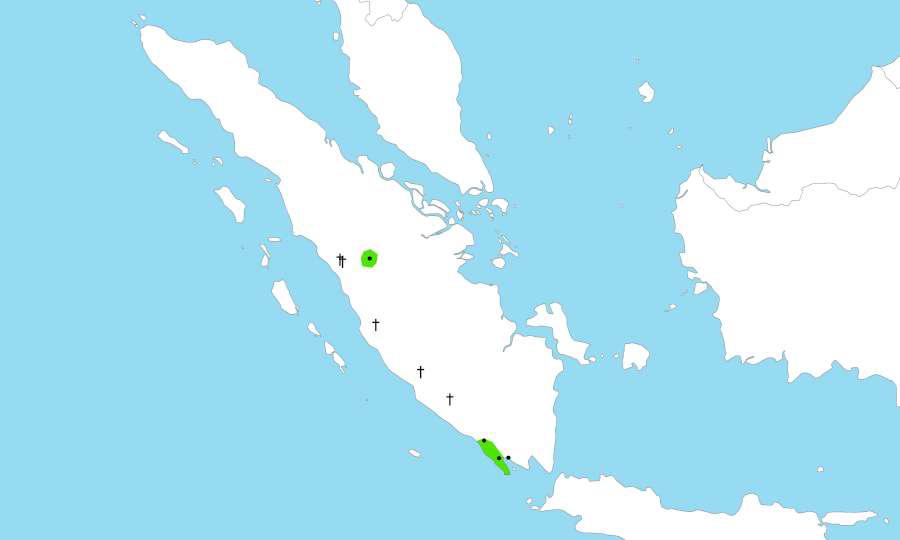 ���Ŵ����ؾ飺�����ֲ�ͼ