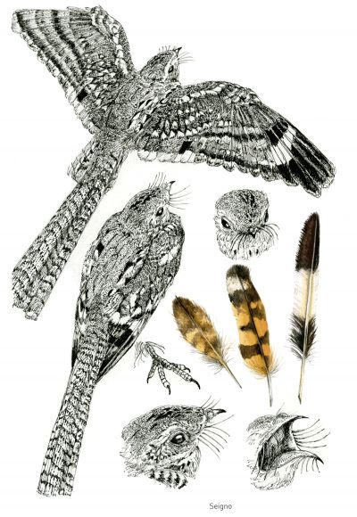 ���޳�βҹӥ