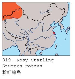 �ۺ���񣺵����ֲ�ͼ