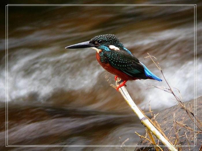 ��ͷ������ͼƬ