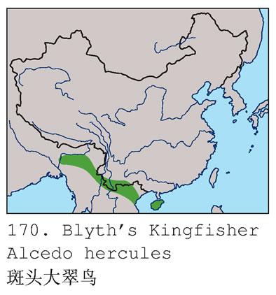 ��ͷ����񣺵����ֲ�ͼ