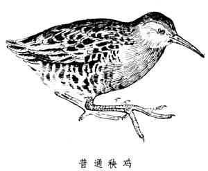 ����������ͨ����