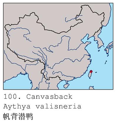 ����ǱѼ�����ֲ�ͼ