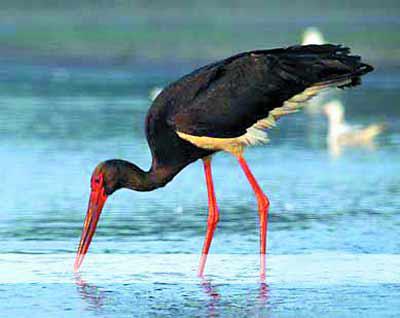 ���٣�����