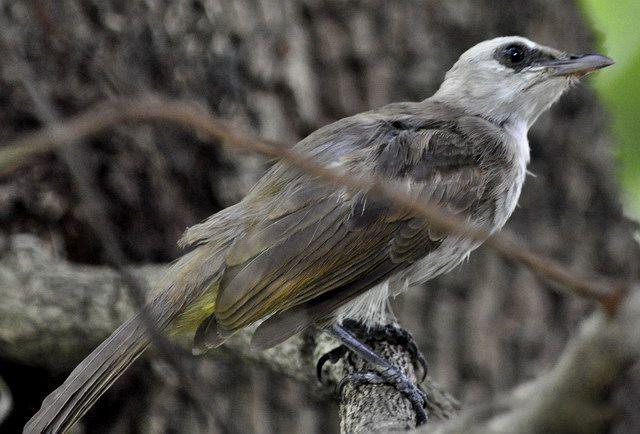 ��ü������